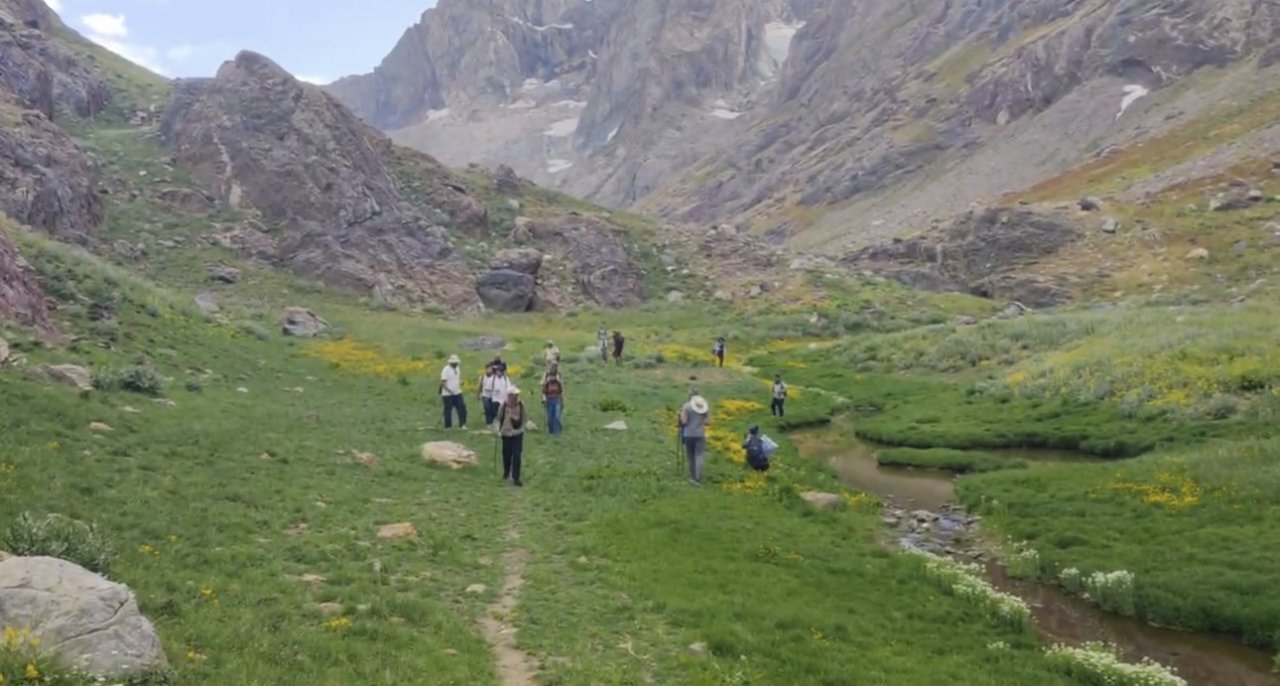 Yüksekova’da engerek yılanı görüntülendi