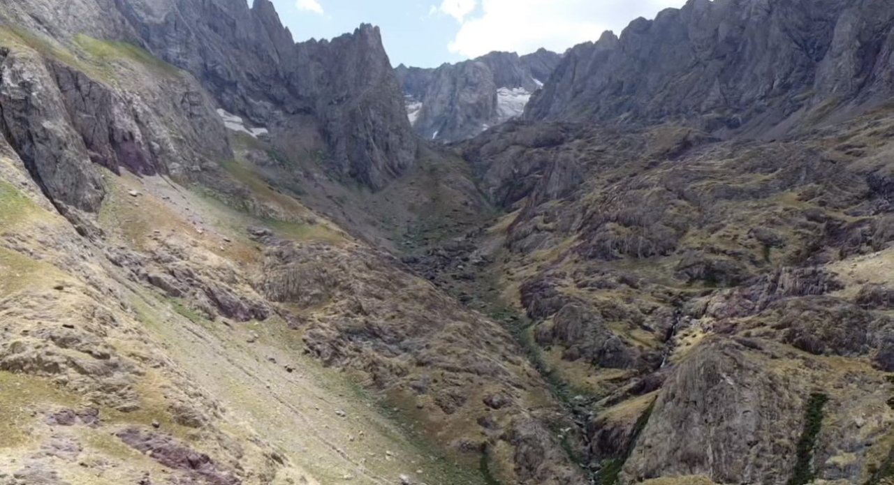 Yüksekova’da engerek yılanı görüntülendi