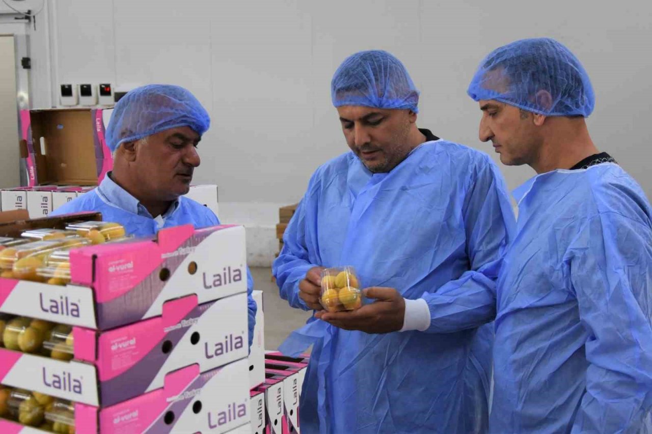 Başkan Sadıkoğlu: "5 bin ton yaş kayısı ihracatı gerçekleştirdik"