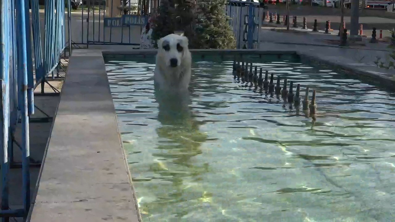 Batman’da sıcak hava dalgası nedeniyle cadde ve sokaklar boş kaldı