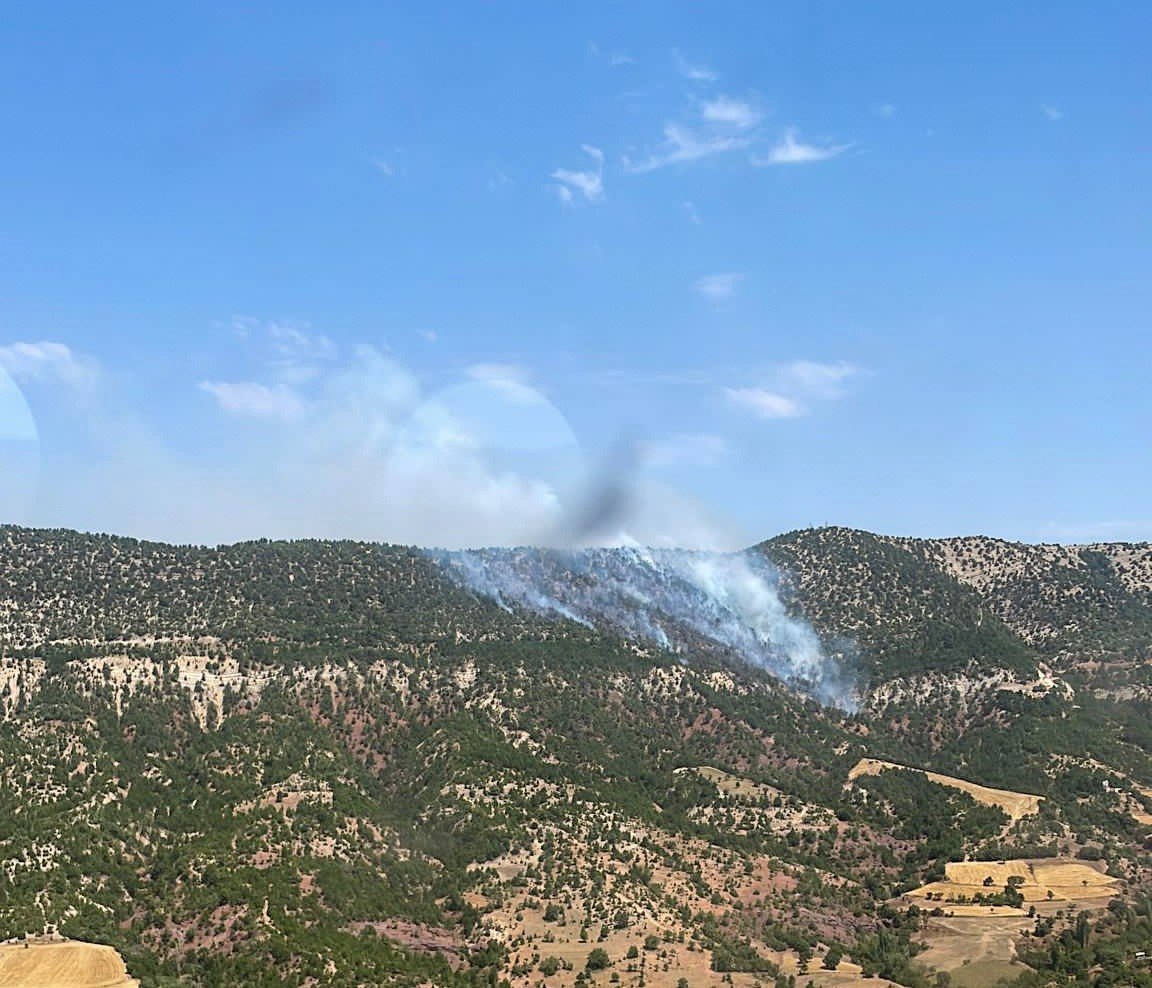 Bolu’daki orman yangına müdahale sürüyor