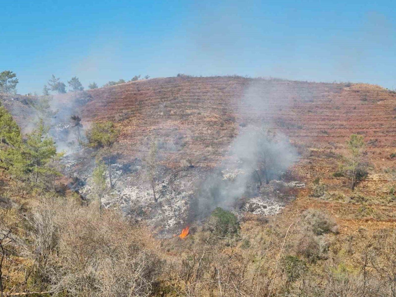 Bördübet’teki yangın büyümeden söndürüldü