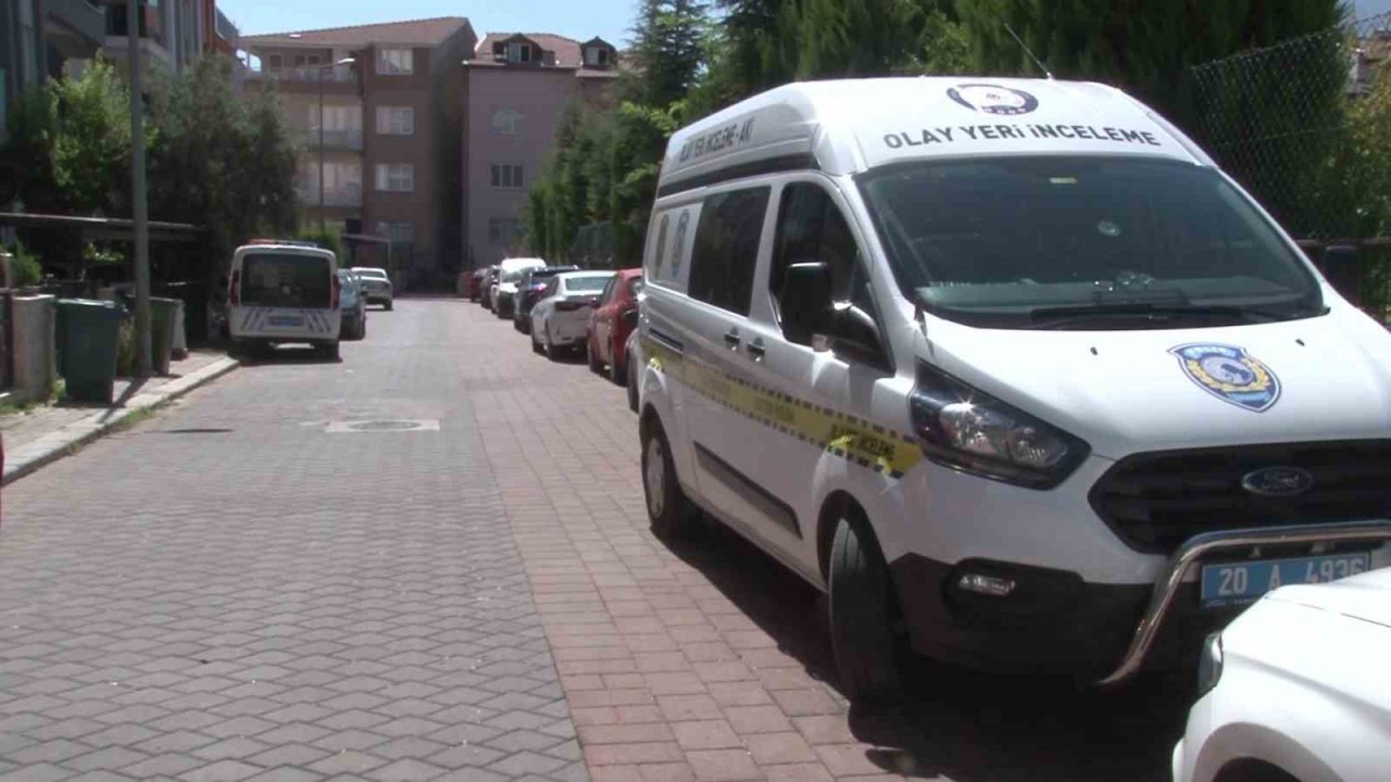 Tel örgüleri kesip yıllardır okulda beslenen 2 köpeği çaldılar