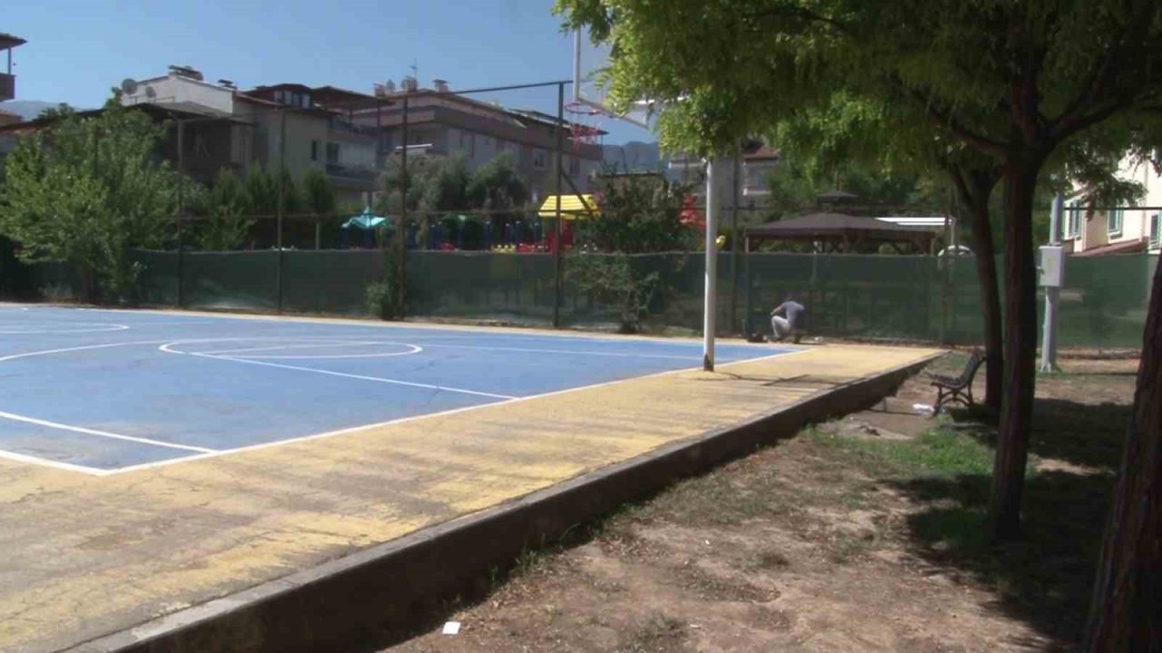 Tel örgüleri kesip yıllardır okulda beslenen 2 köpeği çaldılar