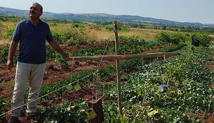 Ürünlerini domuzlardan boş tenekeyle koruyorlar