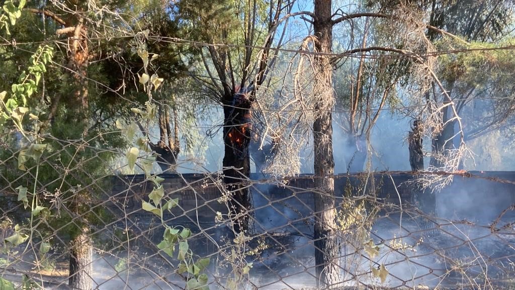 Erzincan’da aşırı sıcaklarla birlikte örtü yangınları arttı