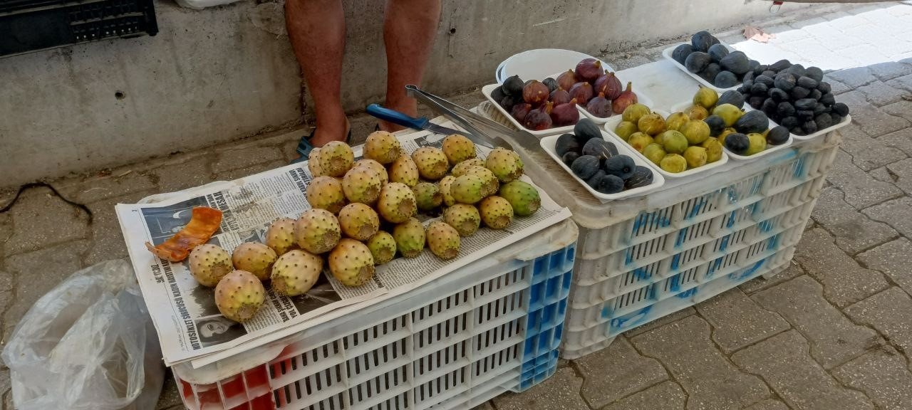Fethiye’de dikenli incir tanesi 10 liradan satılıyor
