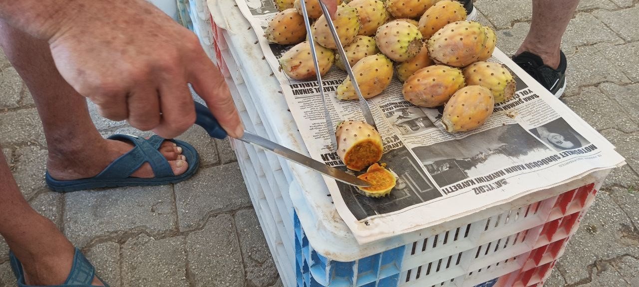 Fethiye’de dikenli incir tanesi 10 liradan satılıyor