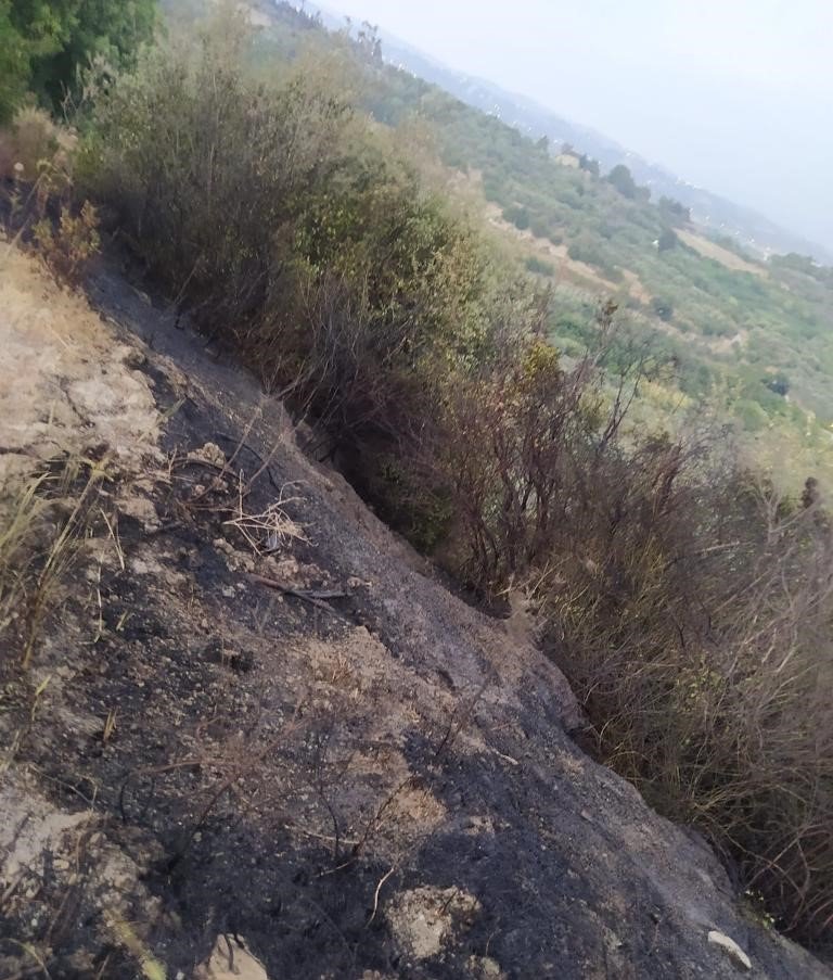 Bahçe yangını büyümeden söndürüldü