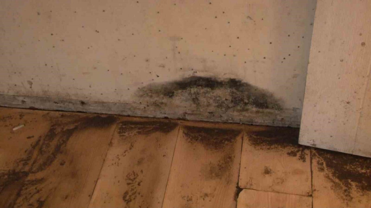 Arnavutköy’de duvardan akan suyun nereden geldiği aylardır bulunamıyor