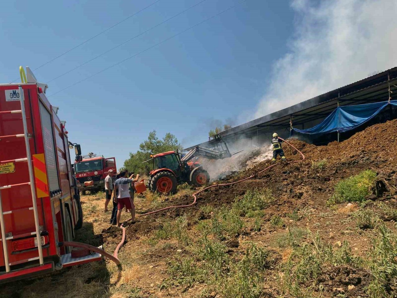 Yangından etkilenen hayvanlara tıbbi müdahale