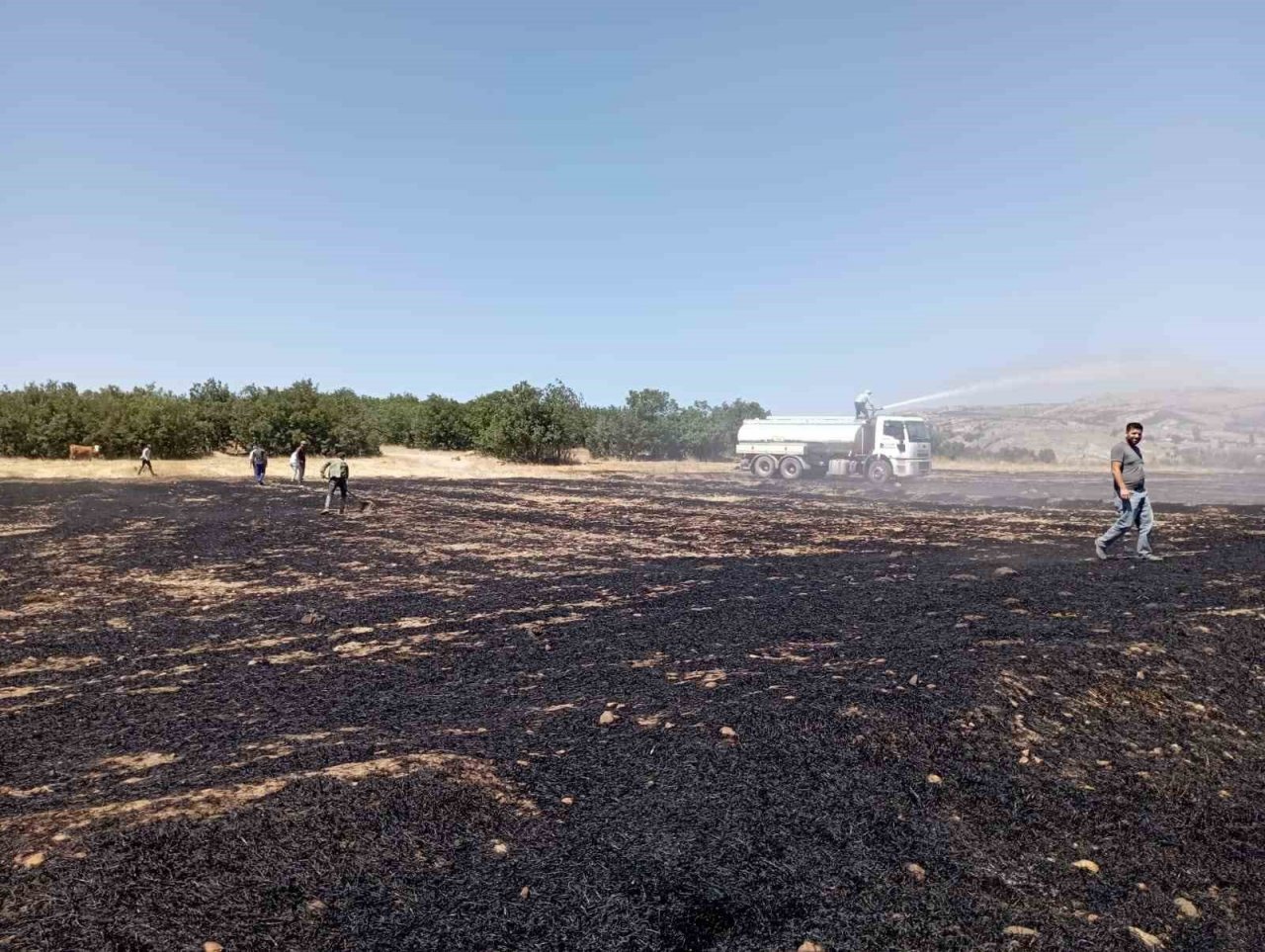 Çıkan anız yangını paniğe sebep oldu