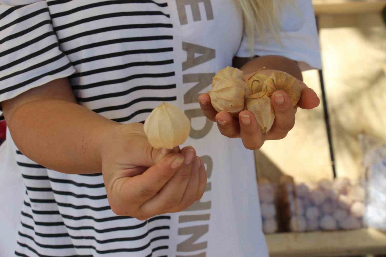 Faydaları saymakla bitmiyor, 250 gramı 50 TL’den satılıyor