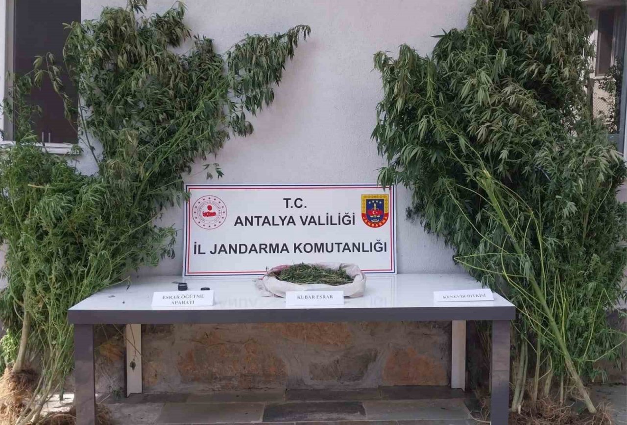 Jandarmadan uyuşturucu tacirlerine geçit yok