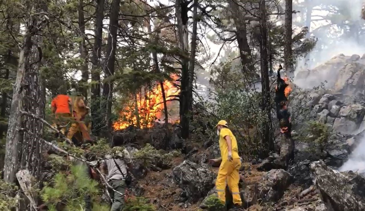 Akseki’deki orman yangınında 45 hektar alan zarar gördü