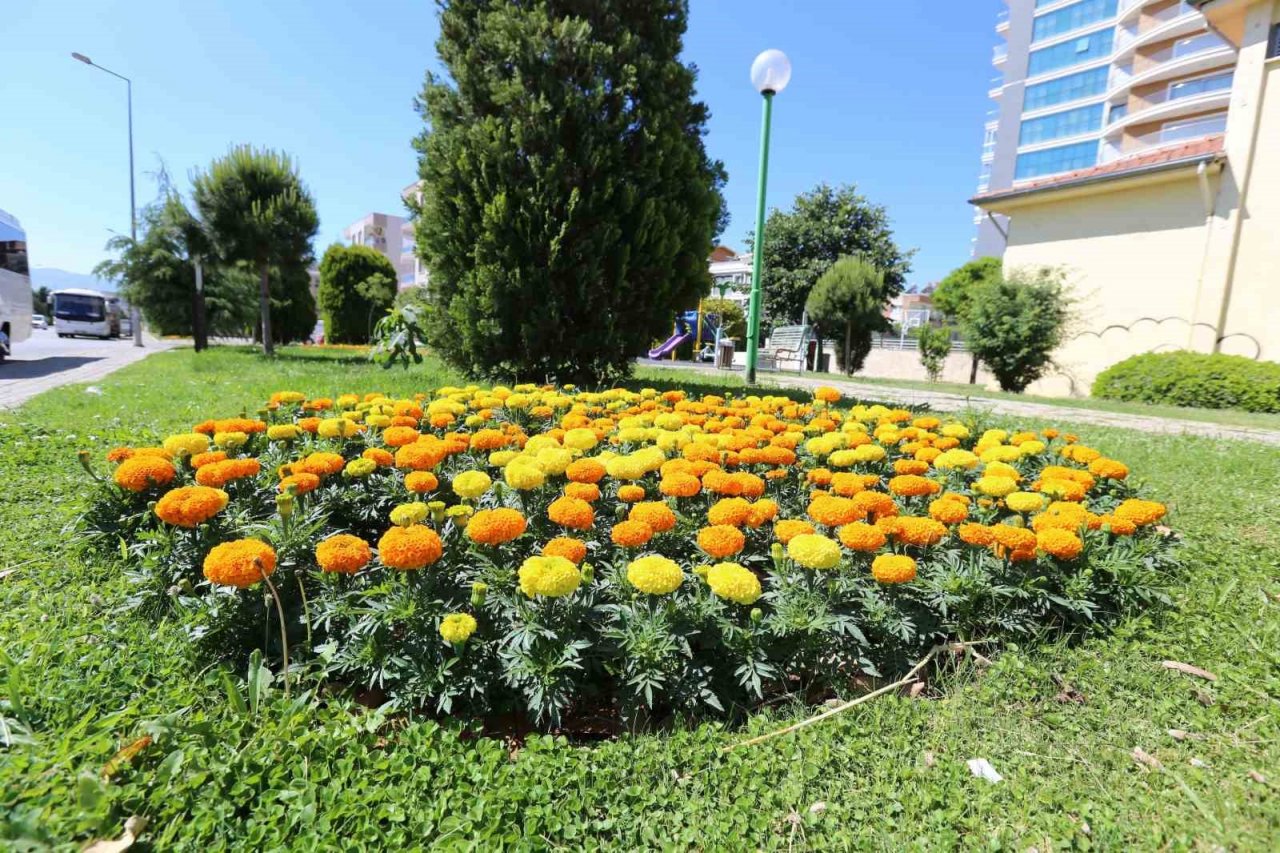 Efeler’in ekipleri ilçe genelinde çalışmalarını sürdürüyor