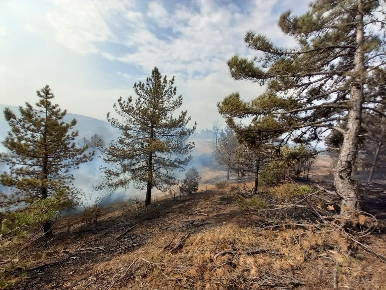 Bolu’da aynı ilçede 2 farklı orman yangını