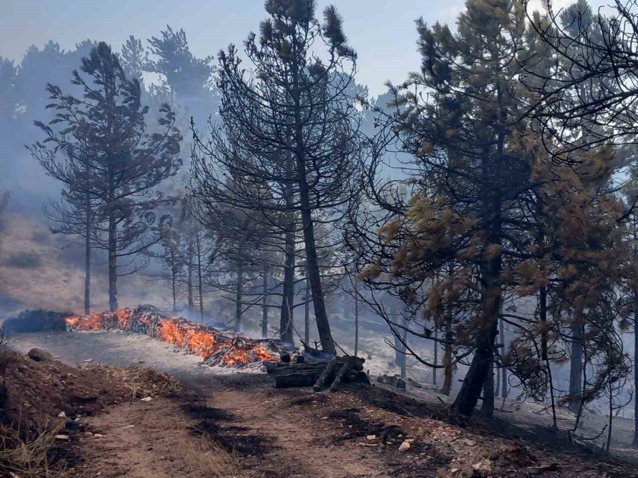 Bolu’da aynı ilçede 2 farklı orman yangını