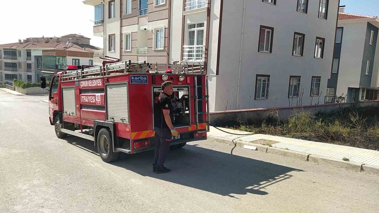 Çorum’da anız yangını büyümeden söndürüldü