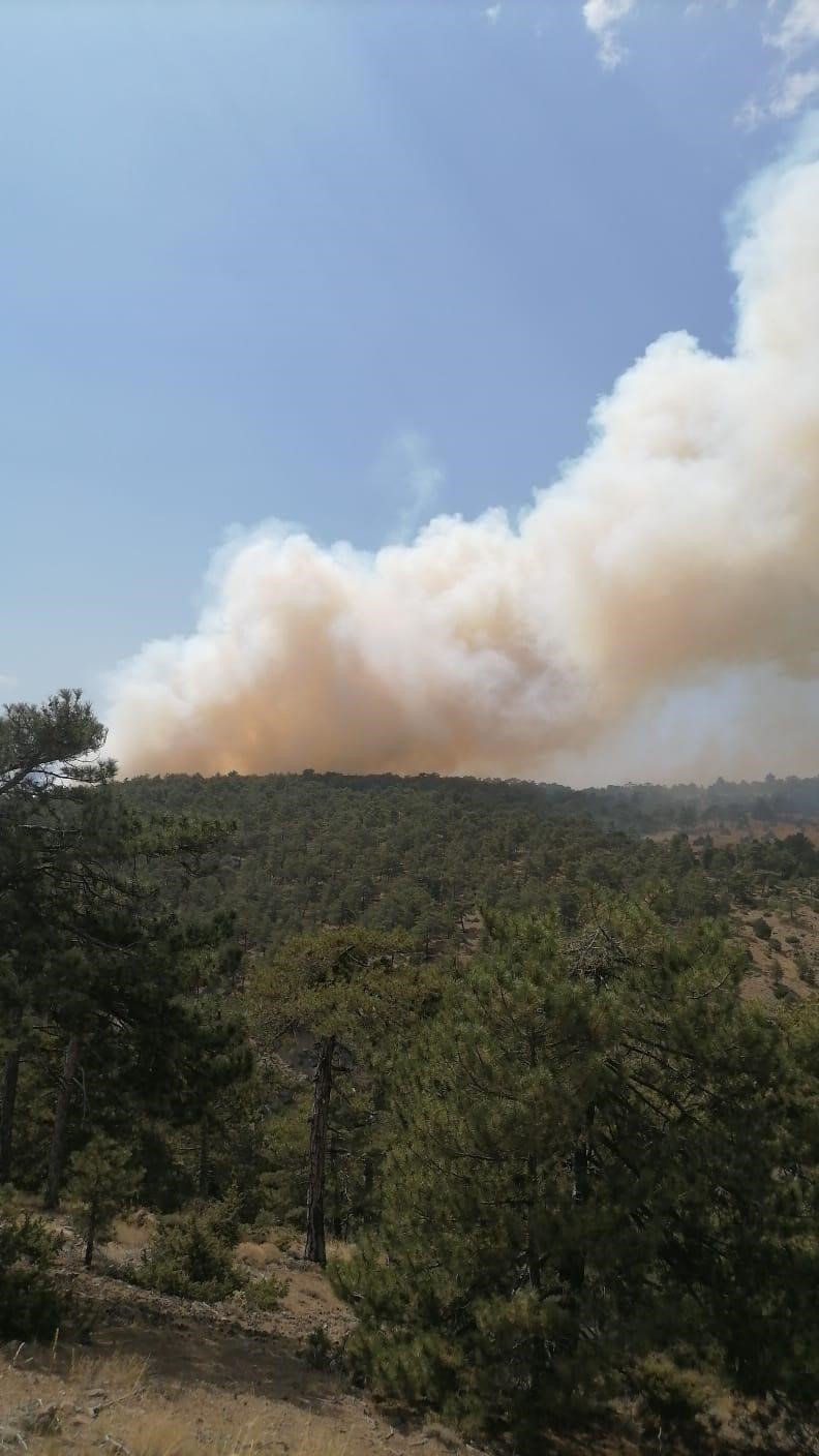 Yangının neden olduğu hasar gün doğumuyla ortaya çıktı