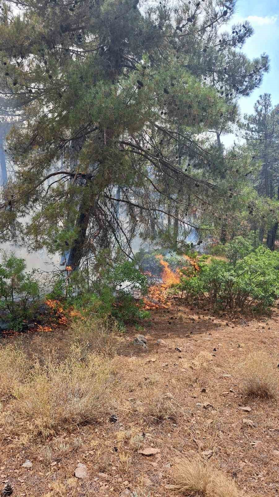 Yangının neden olduğu hasar gün doğumuyla ortaya çıktı