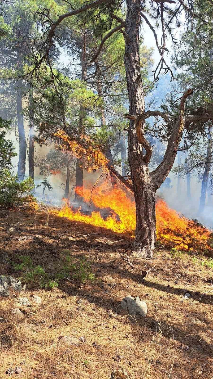 Yangının neden olduğu hasar gün doğumuyla ortaya çıktı