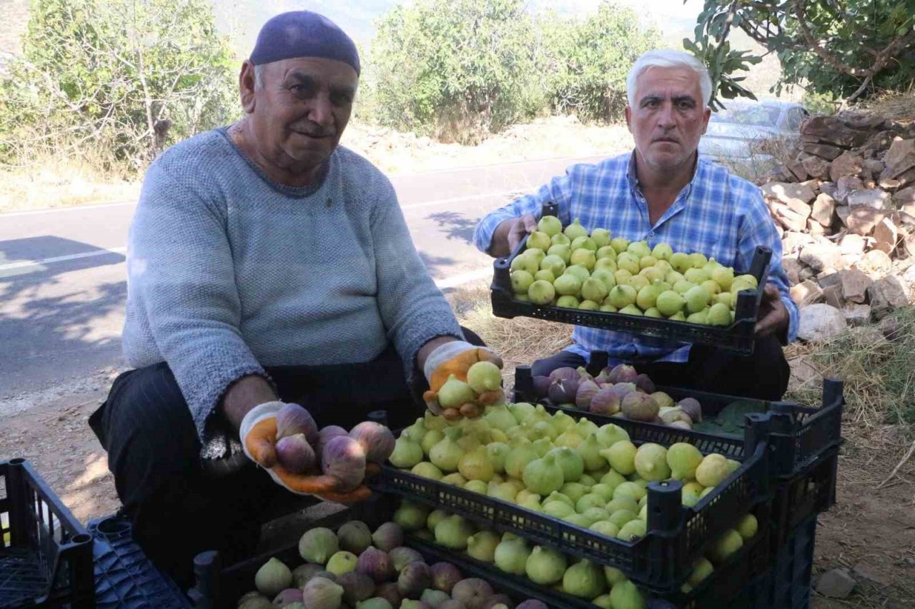 Enkaz kentte ağızları tatlandıran hasat yüz güldürdü