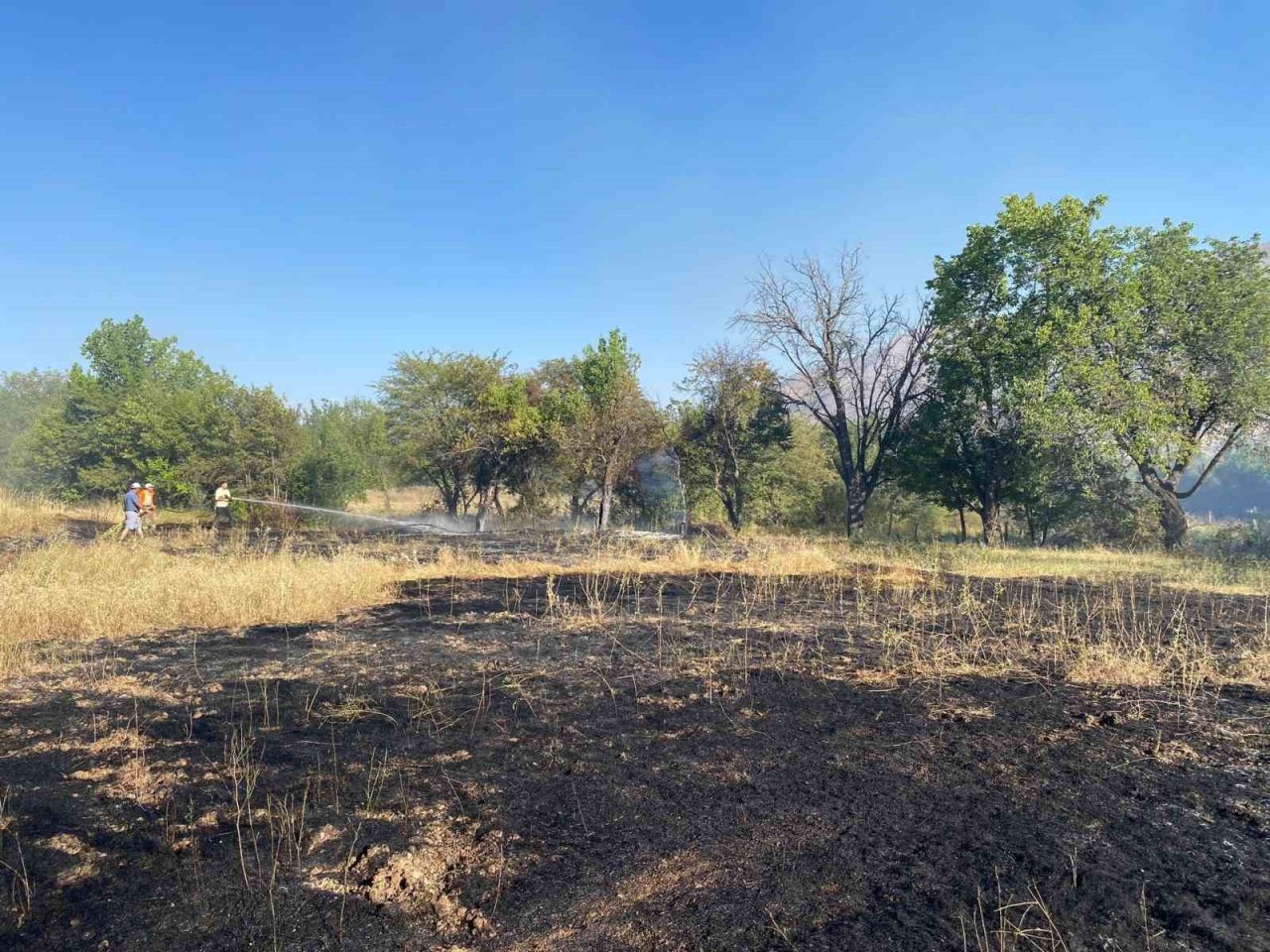 Arazide çıkan yangın büyümeden söndürüldü