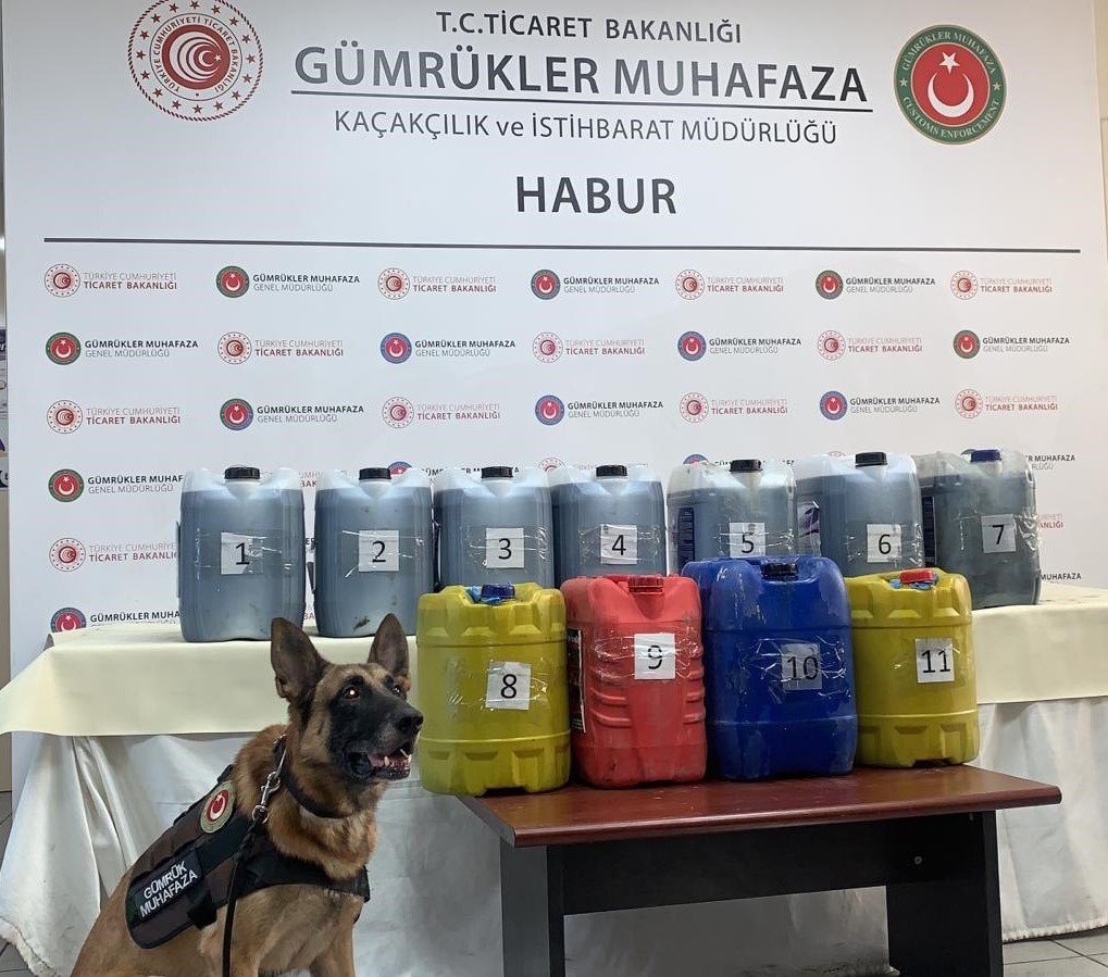 Habur Gümrük Kapısı’nda 245 kilogram metamfetamin yakalandı