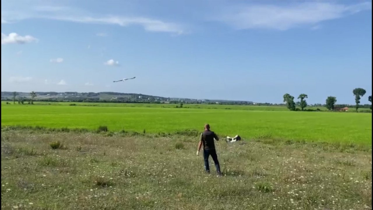 Leylek yavruları tedavi edilerek doğaya salındı