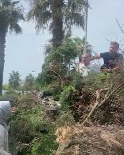 Aracıyla çarptığı ağaçların altında kalmıştı: Kaza anı ortaya çıktı