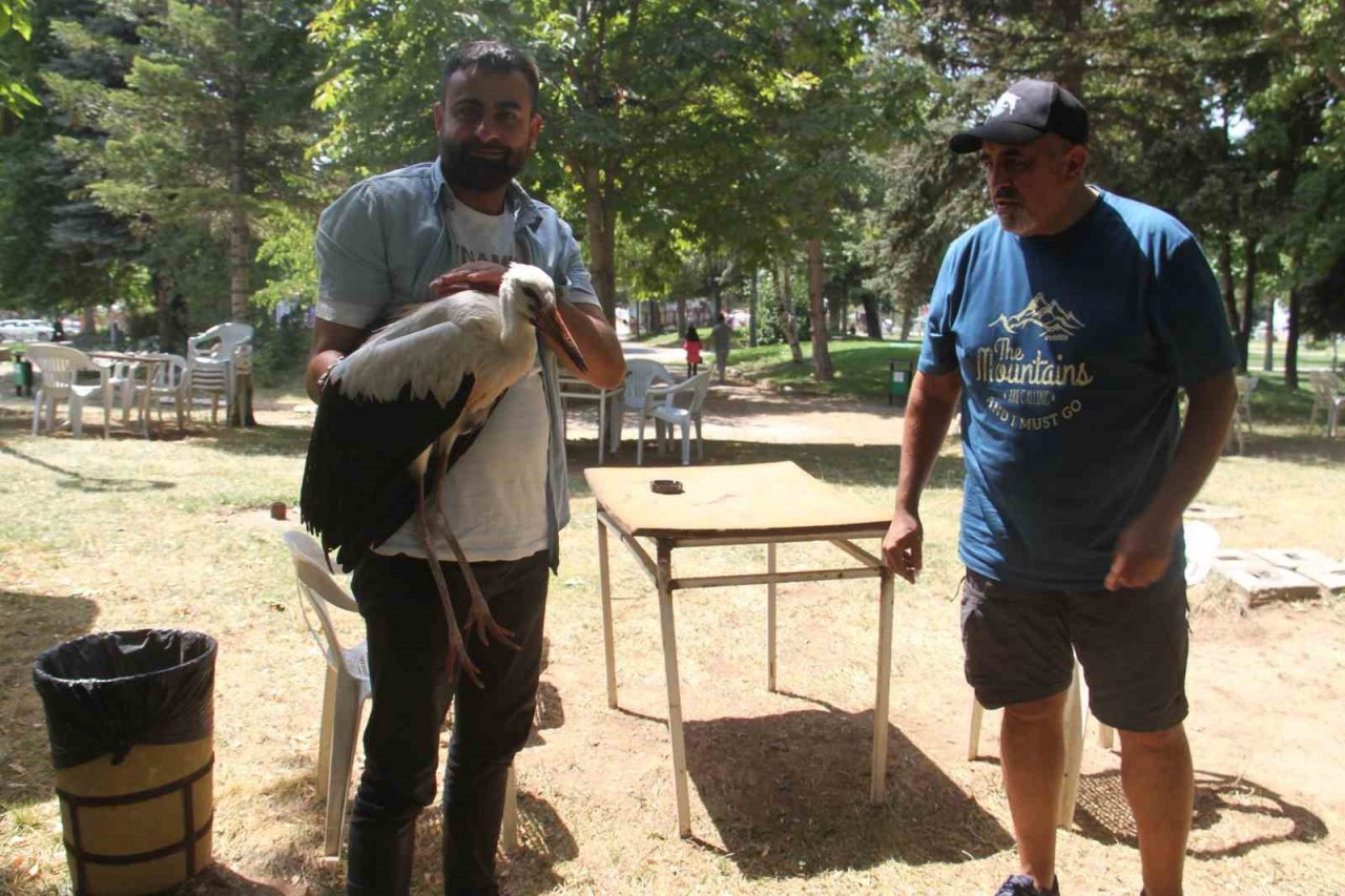 Konya’da insanlardan kaçmadan gezinen yavru leylek parkın maskotu oldu
