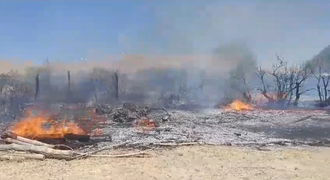 Van’da korkutan yangın