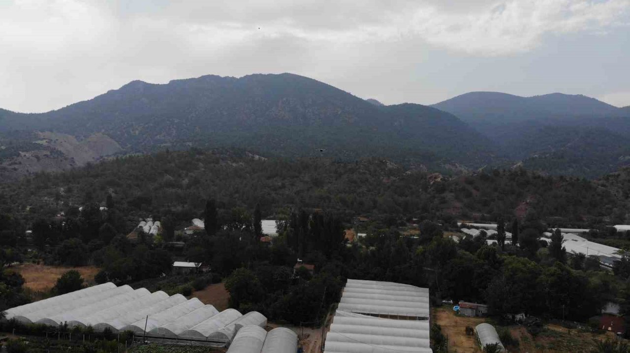 Sıcaklık rekoru kırılan Sarıcakaya adeta yanıyor