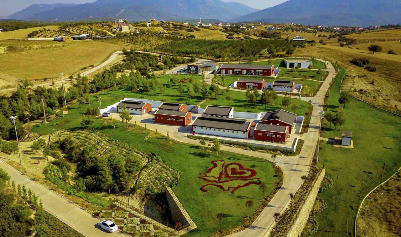 Denizli Büyükşehir ilk 7 ayda 506 sokak hayvanına yuva buldu