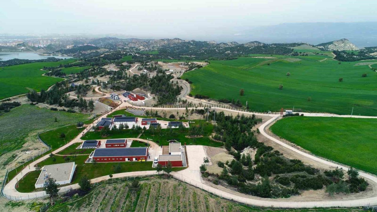 Denizli Büyükşehir ilk 7 ayda 506 sokak hayvanına yuva buldu