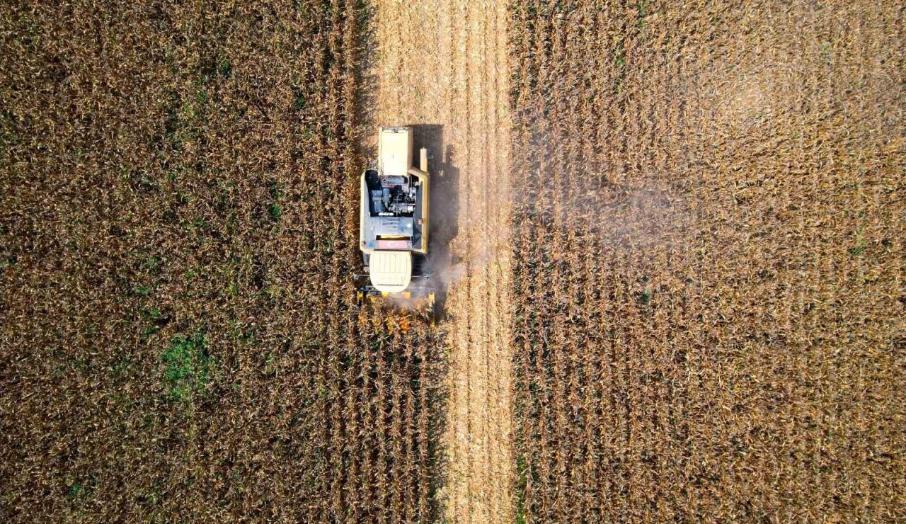 Sıcak hava mısırda rekolteyi yüzde 10 düşürdü