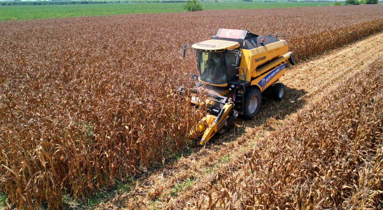 Sıcak hava mısırda rekolteyi yüzde 10 düşürdü