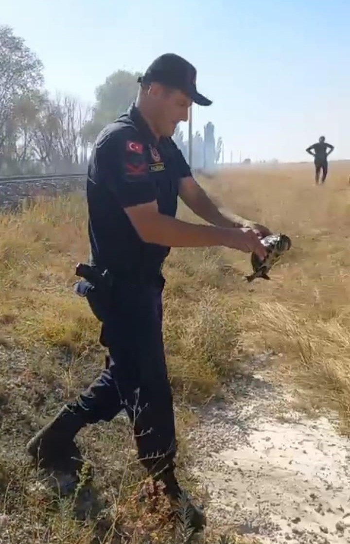 Jandarmanın hayvan sevgisi görenlerin içini ısıttı