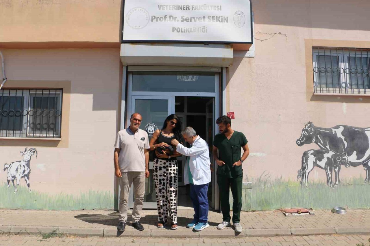 Almanya’da tedavi edilemeyen ’Rocky’ isimli köpek şifayı Diyarbakır’da buldu