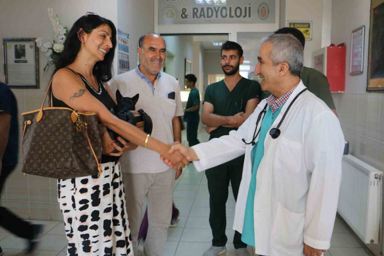 Almanya’da tedavi edilemeyen ’Rocky’ isimli köpek şifayı Diyarbakır’da buldu