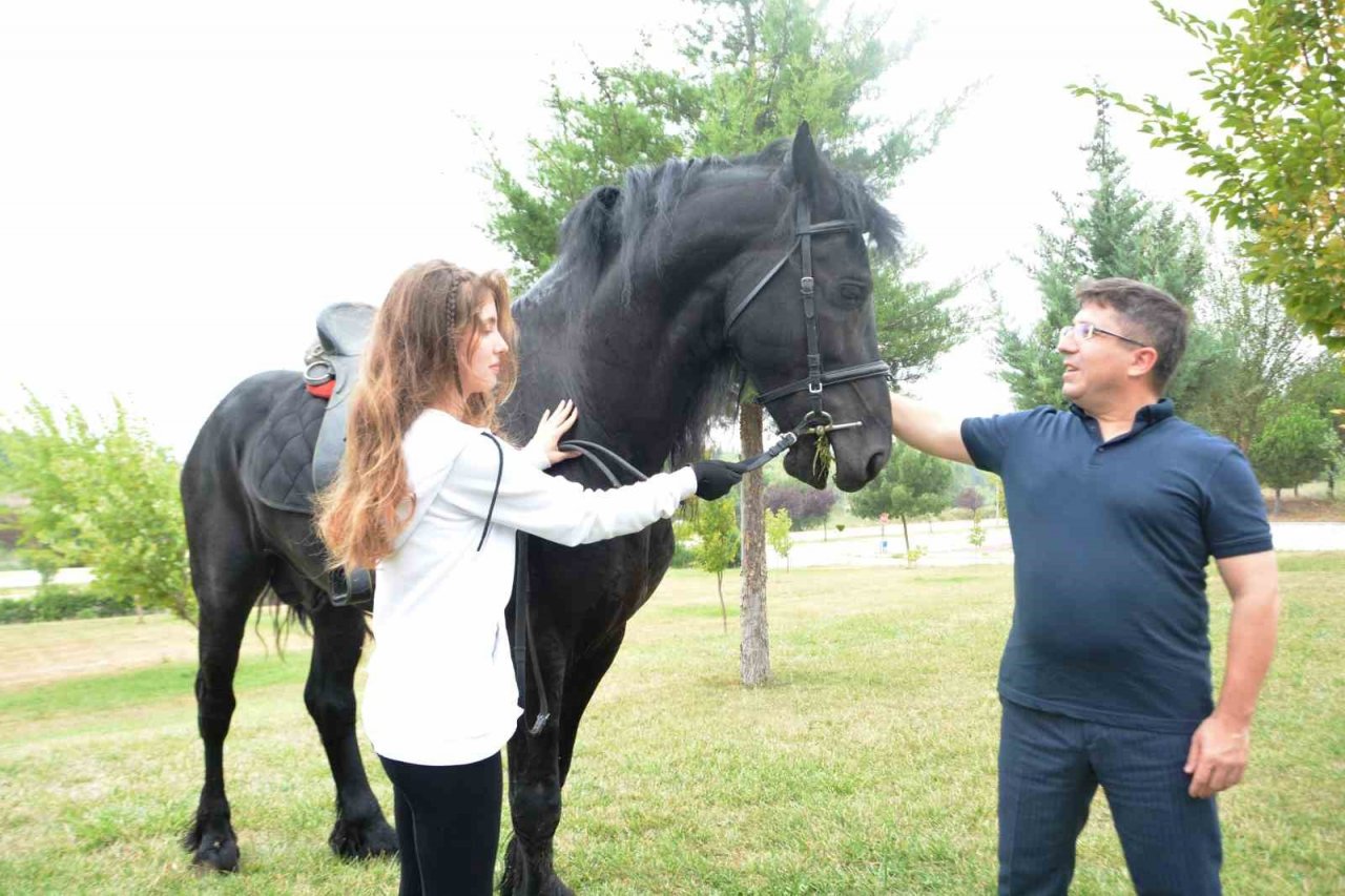 Cins atlar embriyo transferi için Balıkesir’de