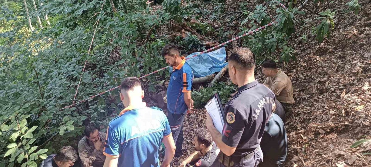 Üzerine ağaç devrilen adam hayatını kaybetti