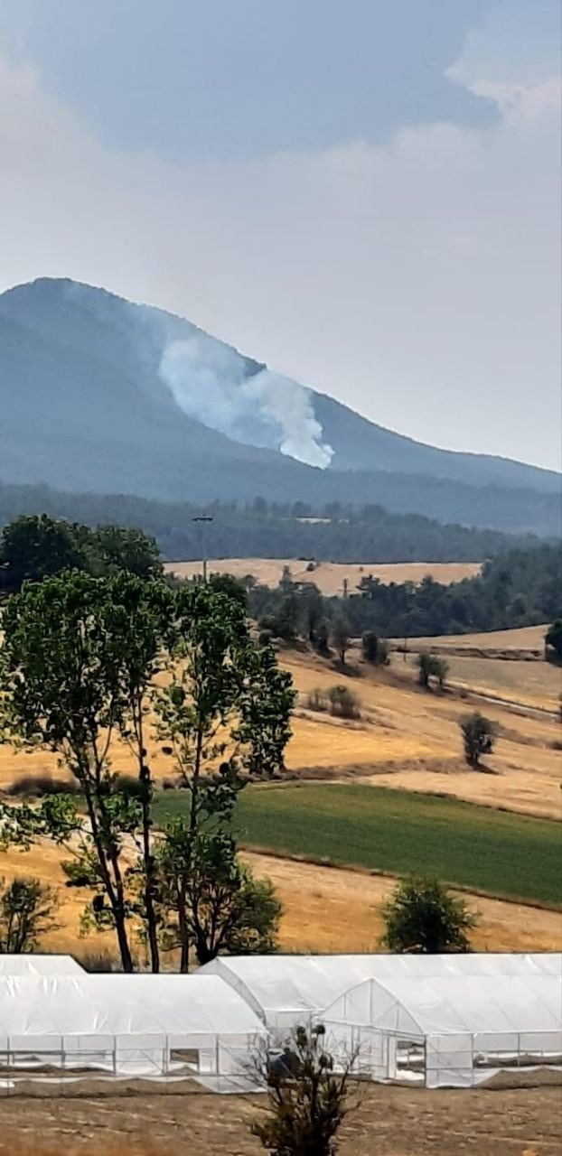 Bolu’da orman yangını başladı