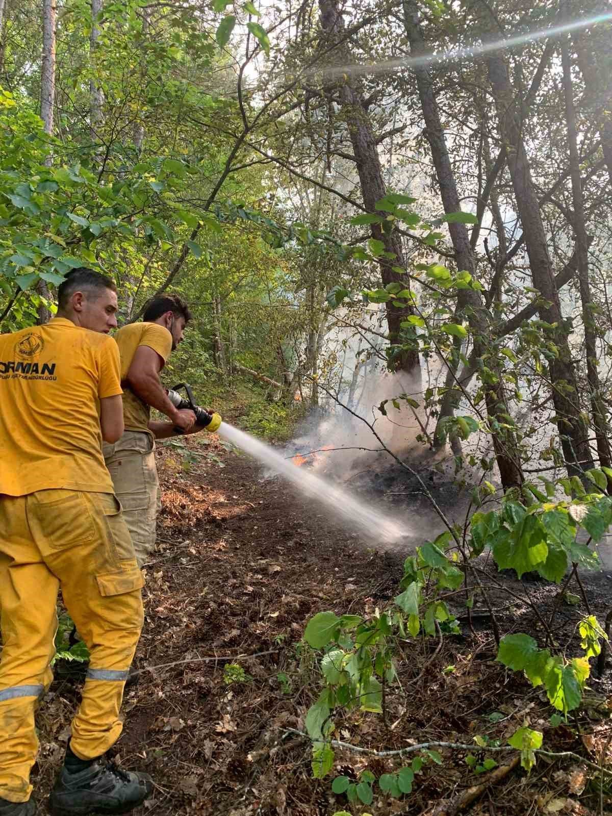 Bolu’da orman yangınına müdahale sürüyor