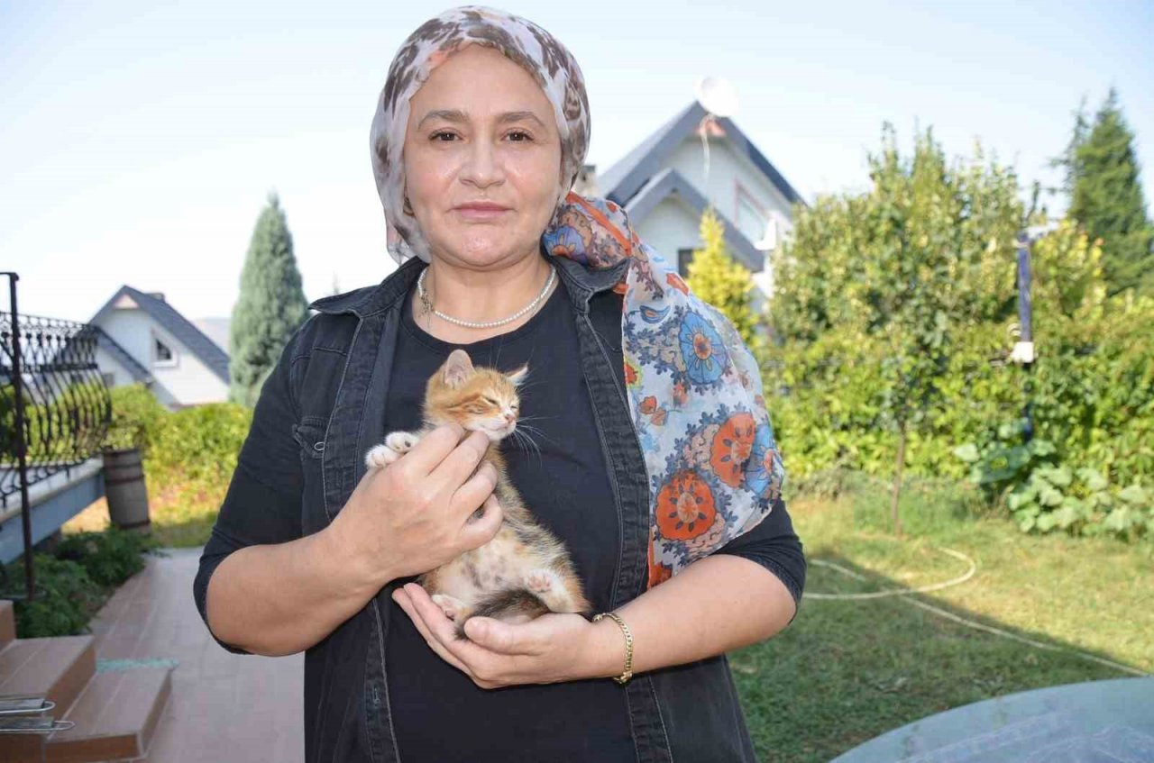 Bozüyük Belediyesi’nden kısırlaştırma yapanlara mama desteği