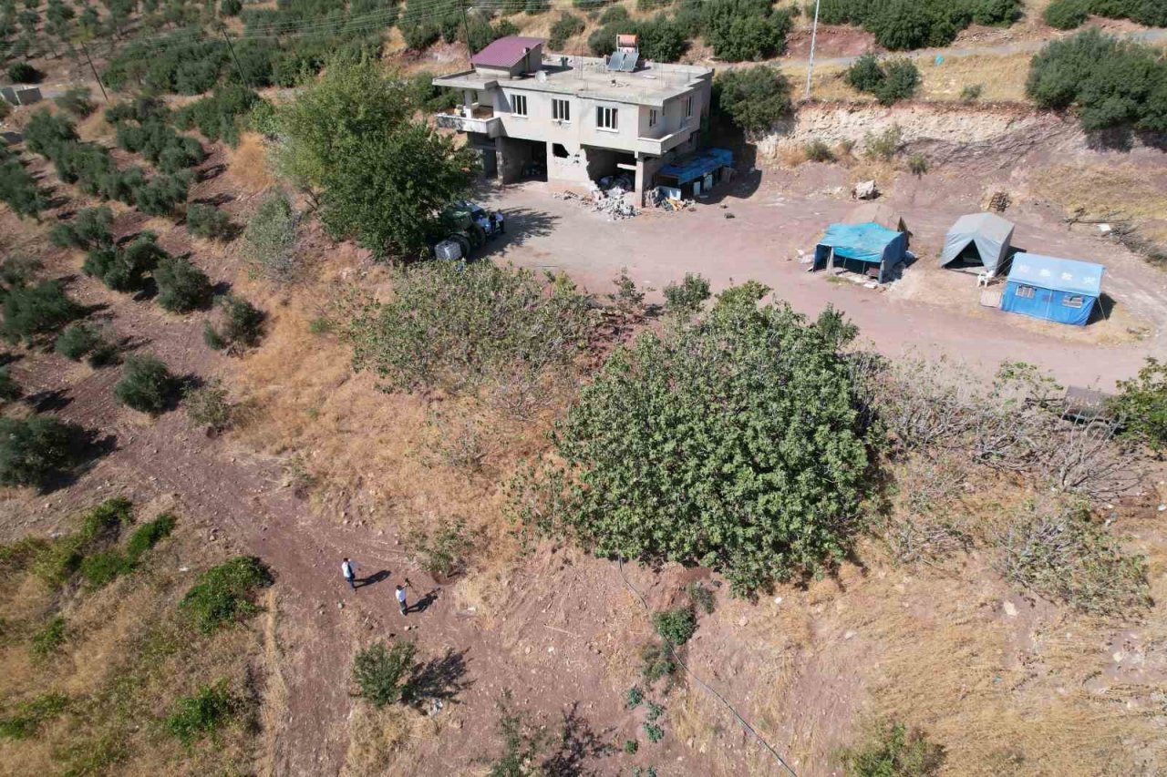 Çöl sıcakları meyve ağaçlarını kurutuyor