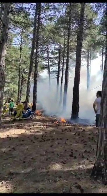 Milli parkta çıkan orman yangını büyümeden söndürüldü