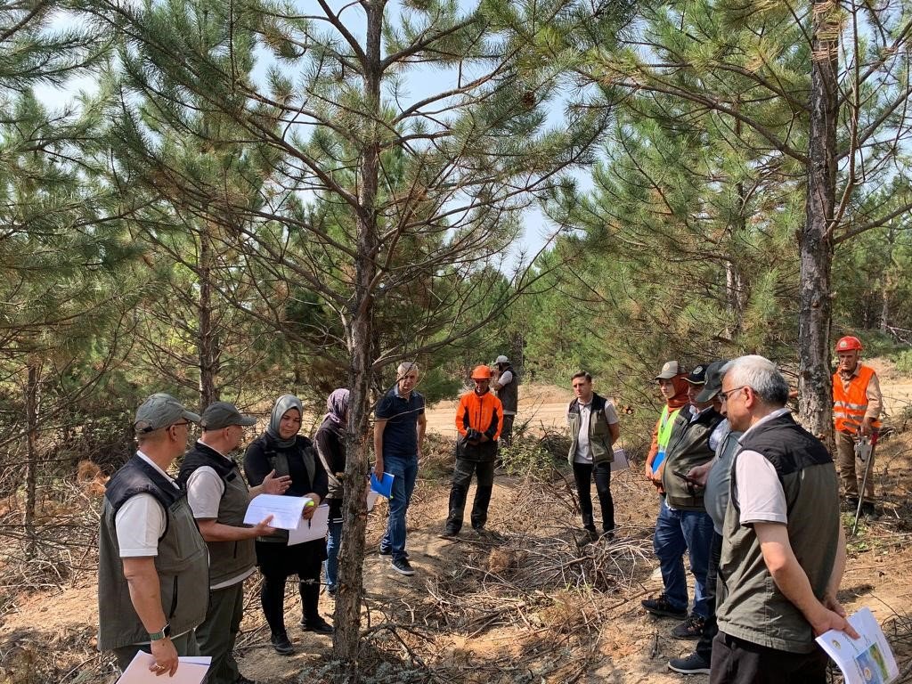 Domaniç ormanlarında tatbikat