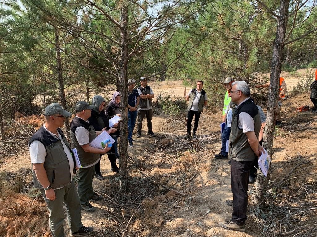 Domaniç ormanlarında tatbikat